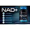 Wellness LabsRX Suplemento en cápsula Wellness LabsRX Nad+ 1500 mg