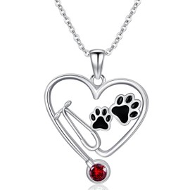 MEIDERBO January Birthstone Veterinary Stethoscope Necklace 925 Sterling Silver Nurse Vet Pendant with Dog Paw Nurse Jewelry Gifts for Veterinarian Nurse Women Veterinarian Gifts