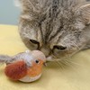 AGGER Cat Casting Fishing Pole Toy, Cat Casting Toy Set,