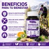 Gwynne Sambucus Suplemento Extracto Sauco 1000mg Vitamina Zinc Quercetina Soporte