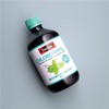 Swisse Chlorophyll Spearmint Flavour 500ml