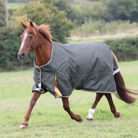 Shires Highlander Plus 50g Turnout Rug - Green 6'9" / 81", Green
