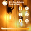 Sdduenled 50pack G40 LED Replacement Light Bulbs 120V 0.6W E12