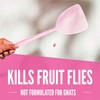 Aunt Fannie's FlyPunch - Fruit Fly Trap, Kill Fruit Flies,