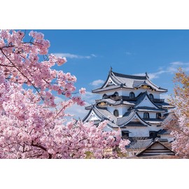 108 Piece Jigsaw Puzzle National Treasure Hikone Castle and Sakuragi (Shiga) Large Piece (26 x 38 cm)