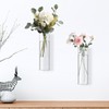 2 Pack Glass Wall Planter Hanging Vases 1.84x5.93 Inch Modern