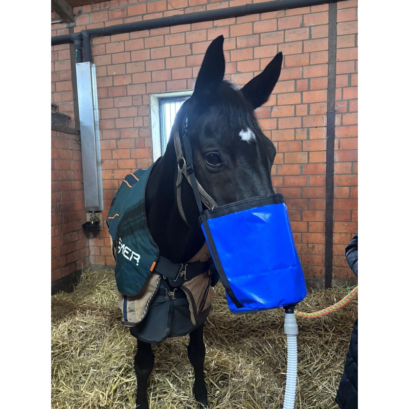 Generisch 2.5% Dead Sea Sole 1 Litre Bocholter Inhalations