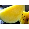 Seeds Yellow Watermelon Janosik 20+ Seeds to Grow