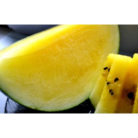 Seeds Yellow Watermelon Janosik 20+ Seeds to Grow