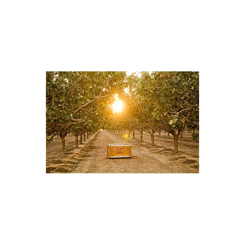 Almonds Dry Roasted Unsalted 32 Oz. (2 Lbs) Kosher