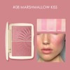 Face Blusher Matte Waterproof Long Lasting Blush Shading Powder Makeup(#8