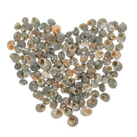 Mobestech 100pcs Natural Conch Shell Decorations for Aquariums DIY Crafts and Beach Themed Decor Lifelike Miniature Conch Shells for Fish Tank Ornaments