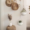 Hajia Waterdrop Shaped Hanging Planter, Metal Plant Hanger with Non-Detachable