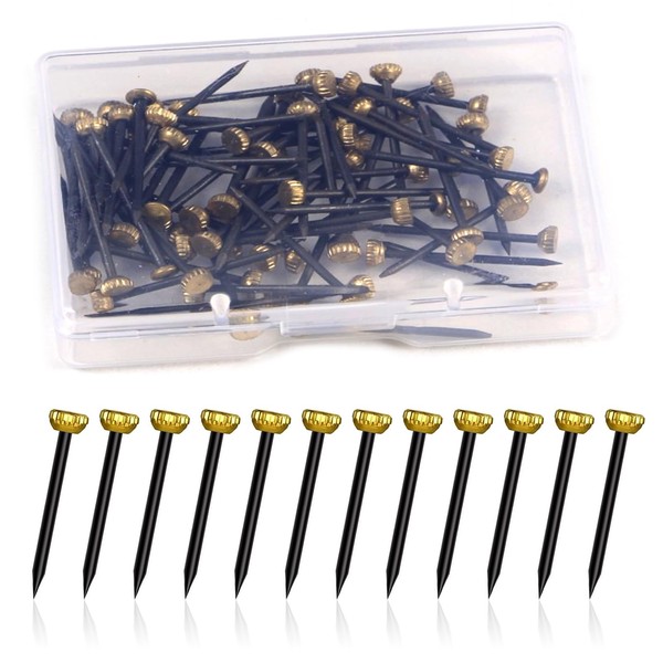 Picture Hanging Nails, 60pcs Wall Picture Pins Brass Head Masonry