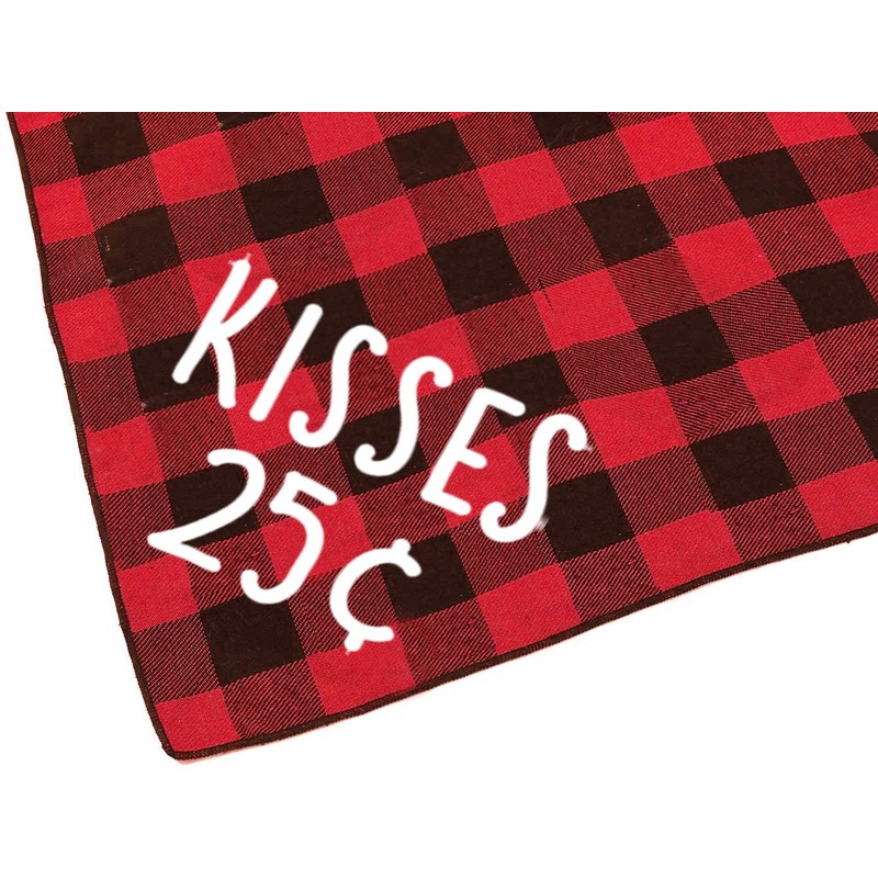 Dog Valentines Day Scarf, Plaid Pet Bandana Triangle Bibs Kerchief