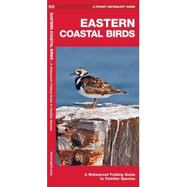 Eastern Coastal Birds: A Waterproof Folding Guide to Familiar Species (Pocket Naturalist Guide)
