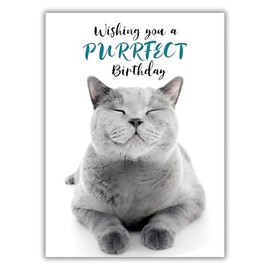Male/Female Birthday Card for Him/Her - General Card for Men/Women - Cat - Purrfect Birthday - Photographic Design - Made in the UK - Eco-Friendly