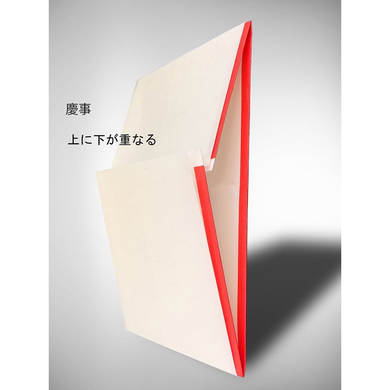 Akagi Ta 983920 Celebration Bags, Large Doors, Pack of 10