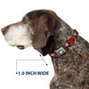 Buckle-Down Collar de Perro con Hebilla para cinturón de Seguridad