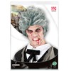 WIDMANN 06742; Grey Zombie Wig