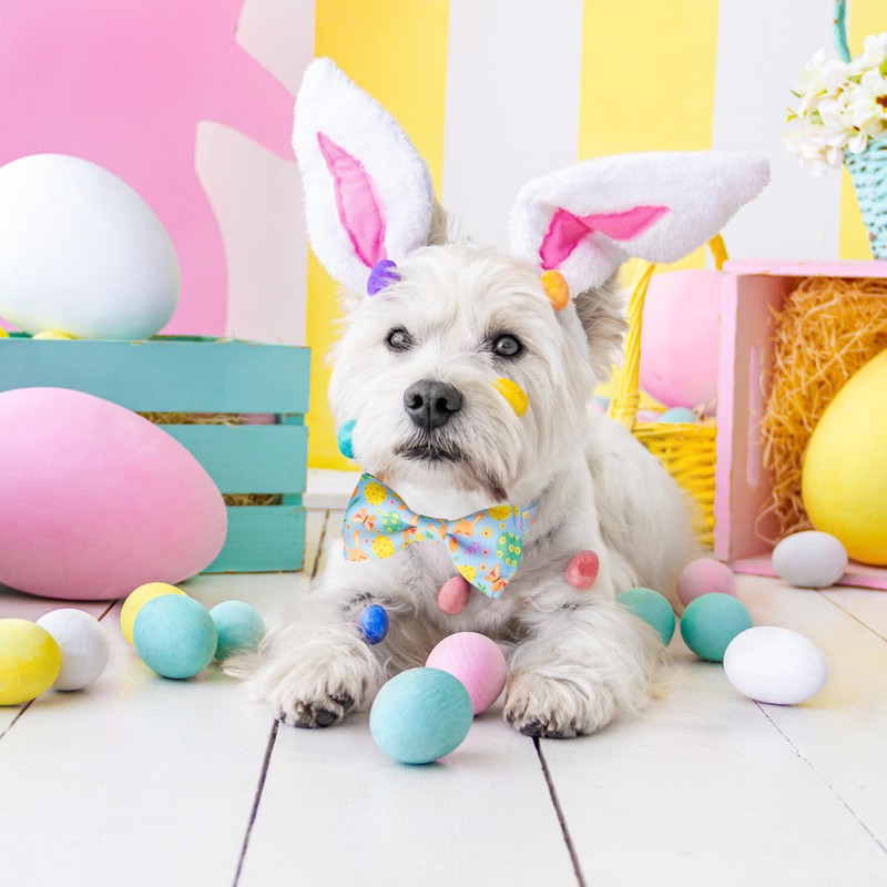 Easter Dog Bow Tie and Collar Set - Adjustable Puppy