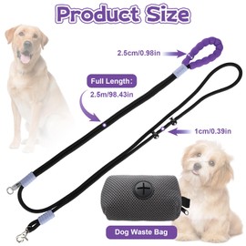 Dog Lead for Large and Medium Dogs (15-80 kg), 2.5 m Nylon Training Lead with Dog Bag, Dog Lead Can Hang Obliquely / Single Pull / Waist Pull, Hiking, Walking (Black)