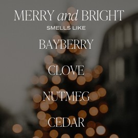 Sweet Water Decor Merry and Bright Christmas Scented Candles - Christmas Stocking Stuffers Soy Candles with Nutmeg Scent - Christmas Candles with 40 Hours Burn Time - 9Oz Gold Lid Clear Jar Candles