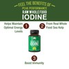 Raw Whole Food Iodine Supplement from Organic Kelp (Ascophyllum Nodosum)