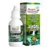 Arandano Compuesto Extracto 50 Ml Margarita Naturalmente