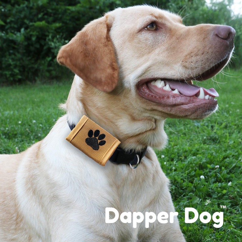 Dapper Dog Pet Tag Silencer and AirTag Holder - Ballistic