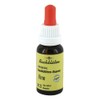 Bach Flowers Murnauer Vine Drops 20 ml