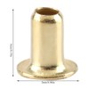 Hztyyier 1000/10000 Pieces Beekeeping Tools Beehive Brass Nest Frame Eyelets