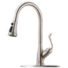 APPASO Single Handle Pull Down Kitchen Faucet with Sprayer, Stainless