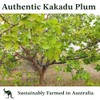 Vitamin C Serum, Pure Kakadu Plum Oil 2oz