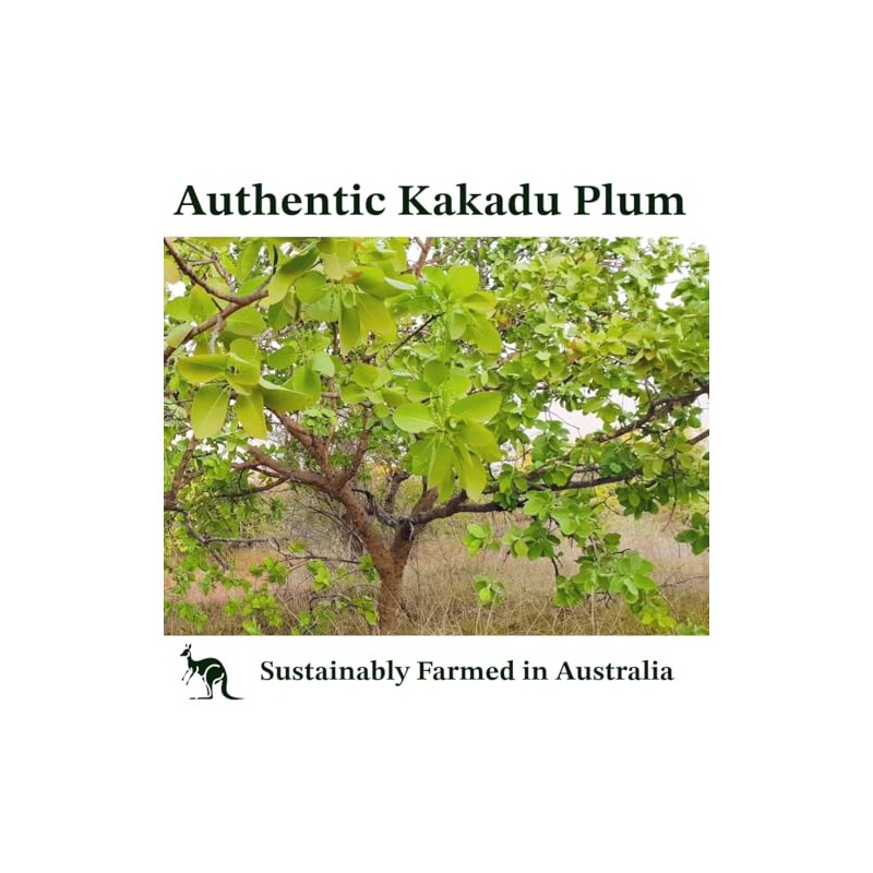 Vitamin C Serum, Pure Kakadu Plum Oil 2oz