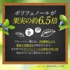 【残留農薬検査済】ブルーベリー葉 粉末 10g パウダー ポリフェノール アイケア 宮崎県産 くにさと35号 添加物不使用