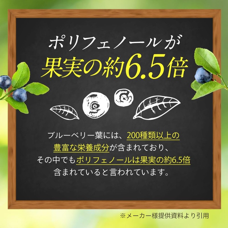 【残留農薬検査済】ブルーベリー葉 粉末 10g パウダー ポリフェノール アイケア 宮崎県産 くにさと35号 添加物不使用