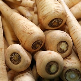 Hollow Crown Parsnip Garden Seeds - 4 Oz - Non-GMO, Heirloom Vegetable Gardening Seeds - Open Pollinated