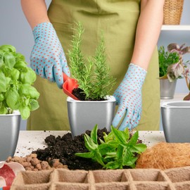 Oliz 4 Pack Self Watering Pots 4-inch Decorative Flower Planters for Indoor Plants Modern Square planters for Small Plants Window Sill Planters for Succulents, African Violets, Herbs(Sliver Black)