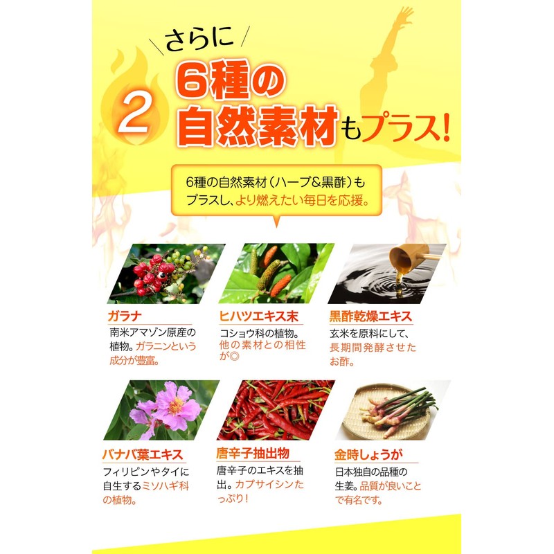 ハーブ健康本舗 シボヘール エクササイズ BOOST (ブースト) 90粒入り L-カルニチン 430mg コエンザイムQ10 αリポ酸