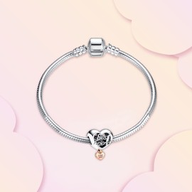 Annmors Charm Love Best Friends Heart 925 Sterling Silver Pendant Dangle Beads for European Bracelets and Necklaces Valentine's Day Mother's Day Gifts for Women