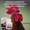 Vitaminas En Tabletas Vitaminas Para Gallo Ascorbol Plus