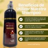 Black Instant Hair Color Shampoo for Gray Hair, 3 In