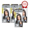 Freshlight hair dye milky type hair dye 4 pcs /