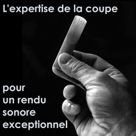 Rigotti Wild Tenor Saxophone Reeds - 3.5 (10-pack)