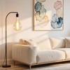 Jslinter Oversized Incandescent Light Bulb 60 Watt, PS52/PS160 Edison Bulb