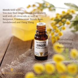 Amphora Aromatics Ginger Essential Oil 10ml