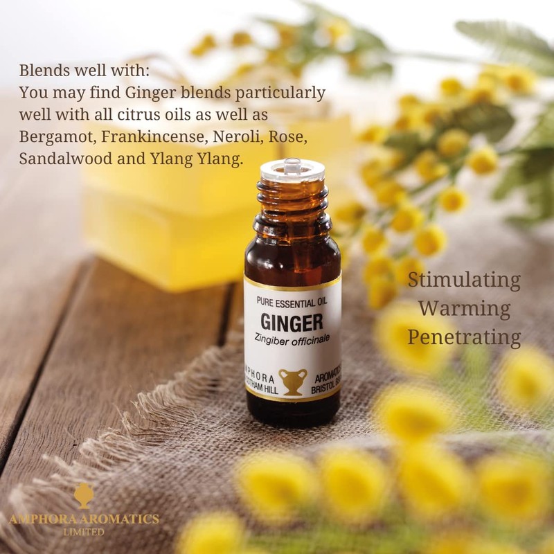 Amphora Aromatics Ginger Essential Oil 10ml