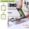 Vegetable Chopper Slicer 13-in-1 with Spice Chopper Set 7 Blades
