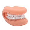 Mouth Puppet with Tongue 28 Teeth Silicone Speech Therapy Demonstration